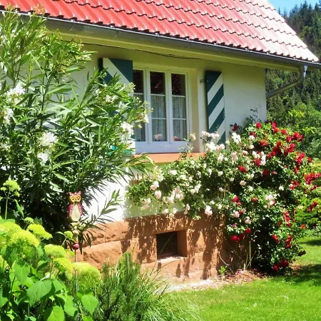 Ferienhaus-Tauchert Schonmunzach
