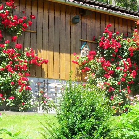 Ferienhaus-Tauchert Schonmunzach